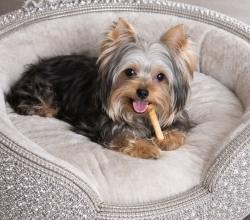 Luxury Rhinestone Dog Bed — Handmade Designer Pet Bed