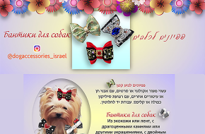 Bows for small dog breeds